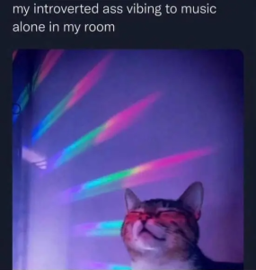 Stupid Bar Memes 7CCPNPU