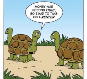 Stupid Bar Memes 7d41c38544b08041