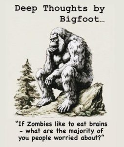 Stupid Bar Memes 7d568e8d43369686