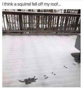 Stupid Bar Memes 7d5a7b3e7e182386
