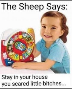 Stupid Bar Memes 7dea3a349bdb5f5f