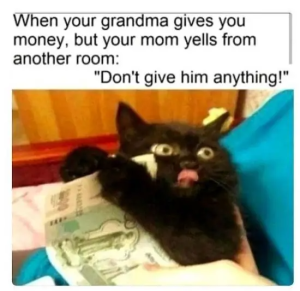 Stupid Bar Memes 7ed22a08s44e6s4963sb404sc255bedfac9d