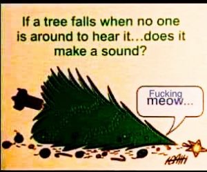 Stupid Bar Memes 7f61acfd31907389