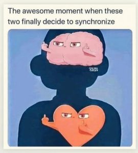 Stupid Bar Memes 8cb71aa99aeeeca9