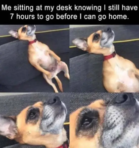 Stupid Bar Memes 91dcb9e3se6bds4cbdsa477s69702347e171