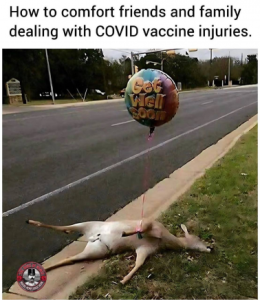 Stupid Bar Memes 9334362c6219afb3