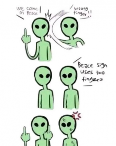 Stupid Bar Memes 9523d63146b12021