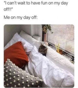 Stupid Bar Memes 9af3037ab996f072
