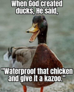 Stupid Bar Memes 9b5e5298ffb2ffe3