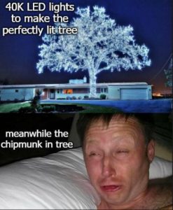 Stupid Bar Memes 9c3acedbc540da44