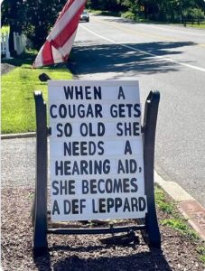 Stupid Bar Memes 9c50021b8ee44435