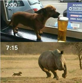 Stupid Bar Memes 9d7a66747cebe35d