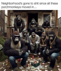 Stupid Bar Memes 9d988290555f05b6