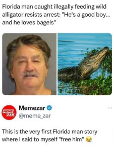 Stupid Bar Memes AJ9PgJm