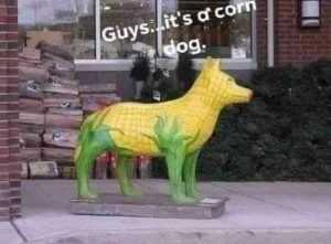 Stupid Bar Memes GrWsVV6
