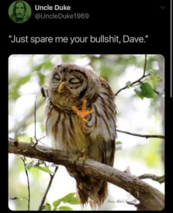 Stupid Bar Memes M3TxmfZ
