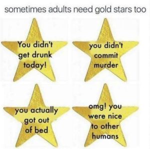 Stupid Bar Memes MmkotYI