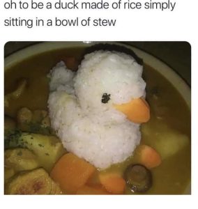 Stupid Bar Memes NpOpcbi