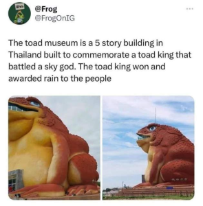 Stupid Bar Memes PAx9pkS