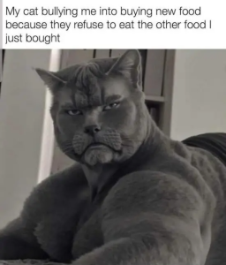 Stupid Bar Memes PBQnxwj