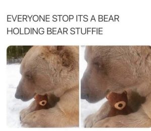 Stupid Bar Memes PcQVj9R