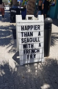Stupid Bar Memes RCYddC2
