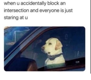 Stupid Bar Memes SpHOFSO