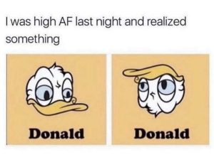 Stupid Bar Memes UDmlJsb