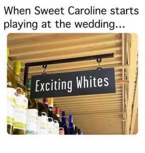 Stupid Bar Memes WLkH8sX