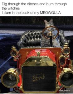Stupid Bar Memes WMAs12s03s23s1s30
