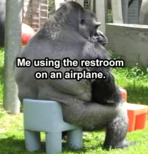 Stupid Bar Memes WMAs12s10s23s1s30