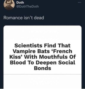 Stupid Bar Memes Xsx6LHI