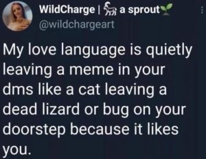 Stupid Bar Memes YGAtBPc