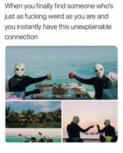 Stupid Bar Memes ZvsodEN