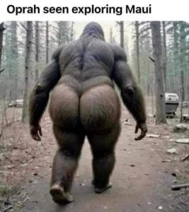 Stupid Bar Memes a370863e50221e79