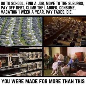 Stupid Bar Memes a694076243cb8c5c