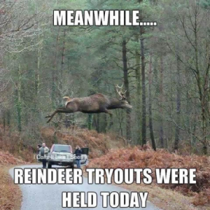 Stupid Bar Memes a74504c7a299b9ac