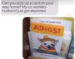 Stupid Bar Memes a9b499a73a2d1dc6