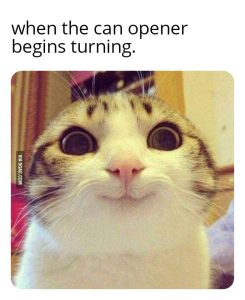 Stupid Bar Memes a9qg0x1s700b