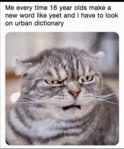 Stupid Bar Memes aBdBrOQs700b