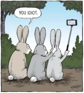 Stupid Bar Memes aa7838aefd045f22