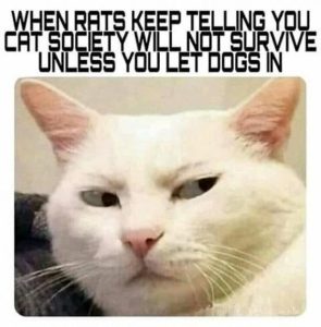 Stupid Bar Memes aa99678f3bee0d8f