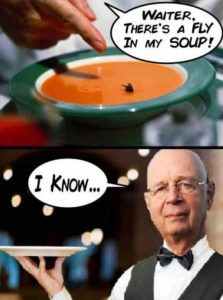 Stupid Bar Memes ab3d13e523bd216b