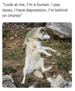 Stupid Bar Memes ab45406b7fe27f1a