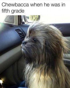 Stupid Bar Memes ab990dfdd37328ea
