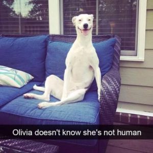 Stupid Bar Memes acf9a0e42a153690