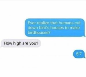 Stupid Bar Memes b2a8fd39be65816a