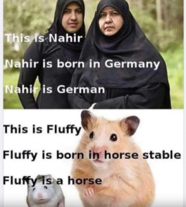Stupid Bar Memes b48cdf8104837458