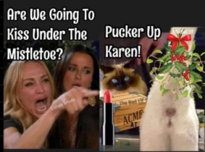 Stupid Bar Memes b5d7047500914055