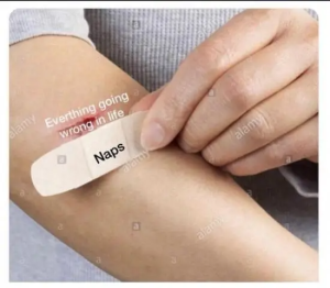 Stupid Bar Memes bVGEzKJ